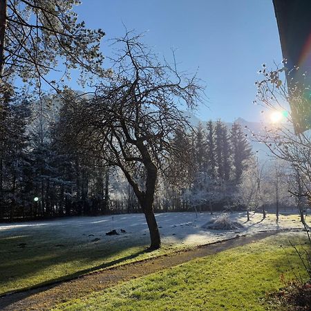 Esterer Grödig Esterno foto