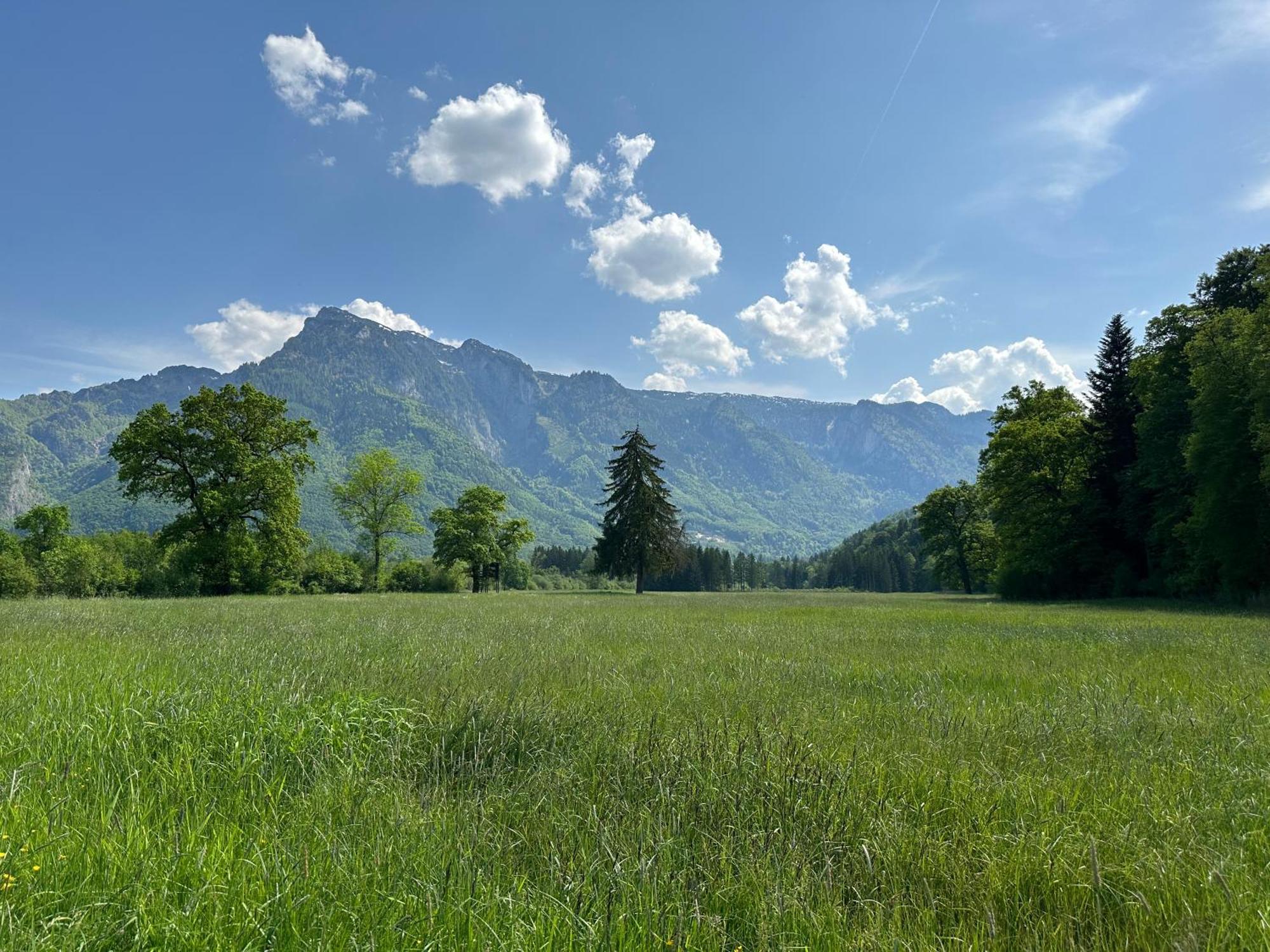 Esterer Grödig Esterno foto