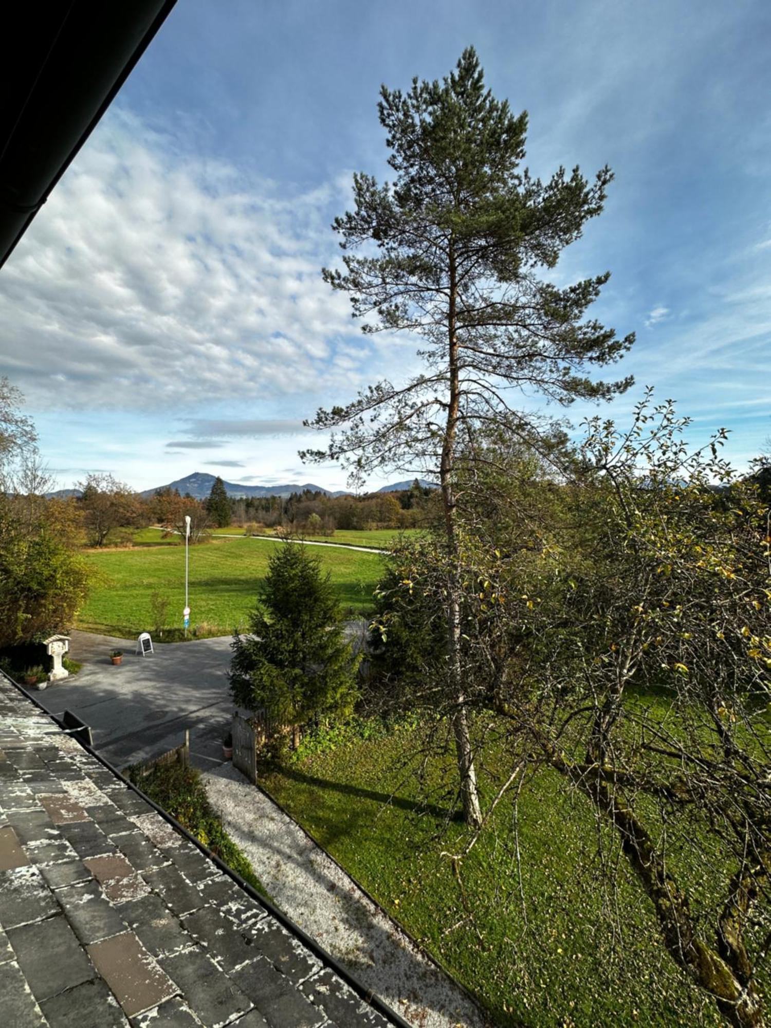 Esterer Grödig Esterno foto