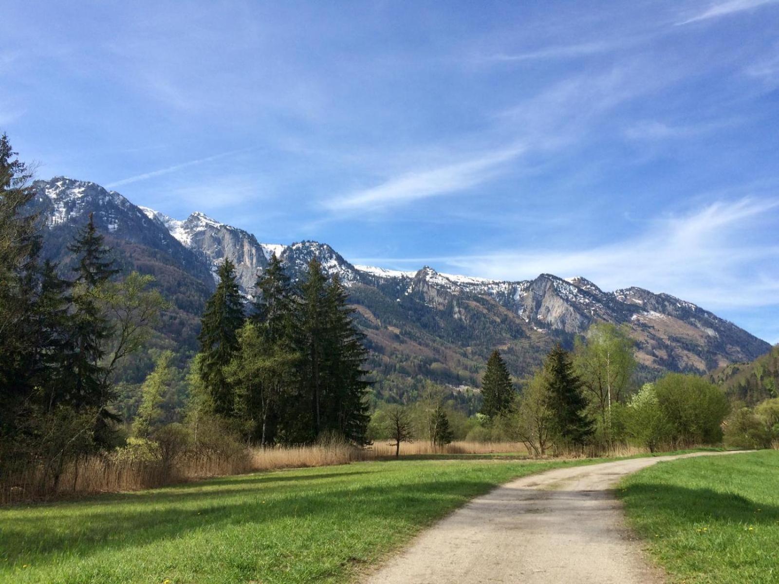 Esterer Grödig Esterno foto