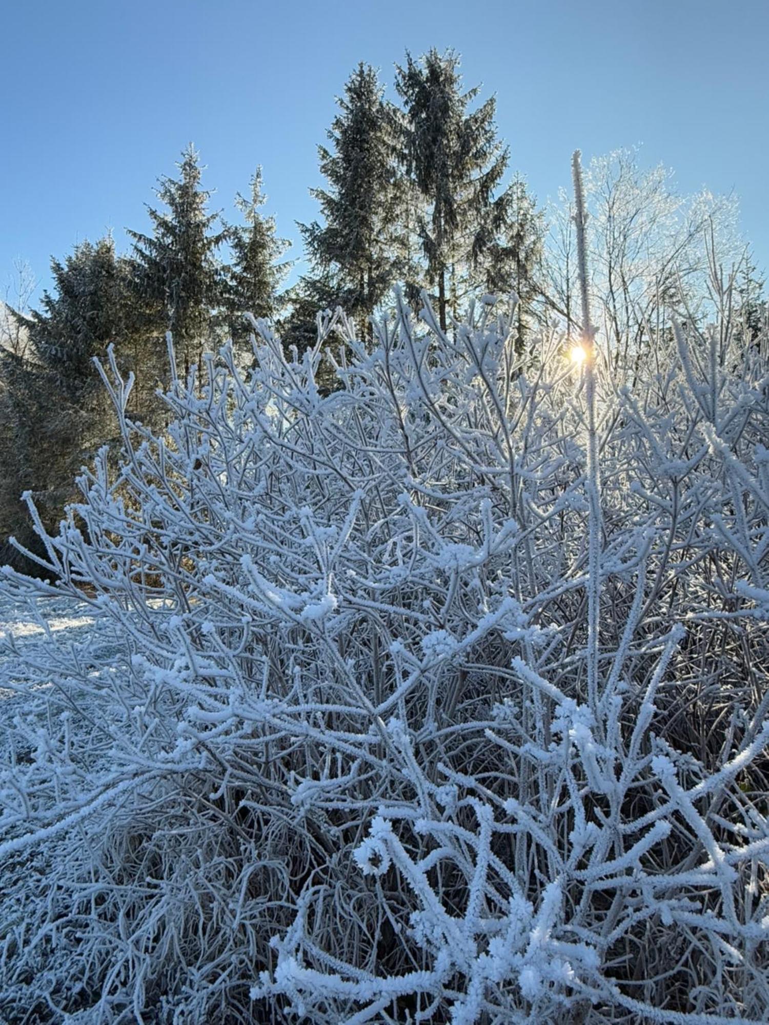 Esterer Grödig Esterno foto