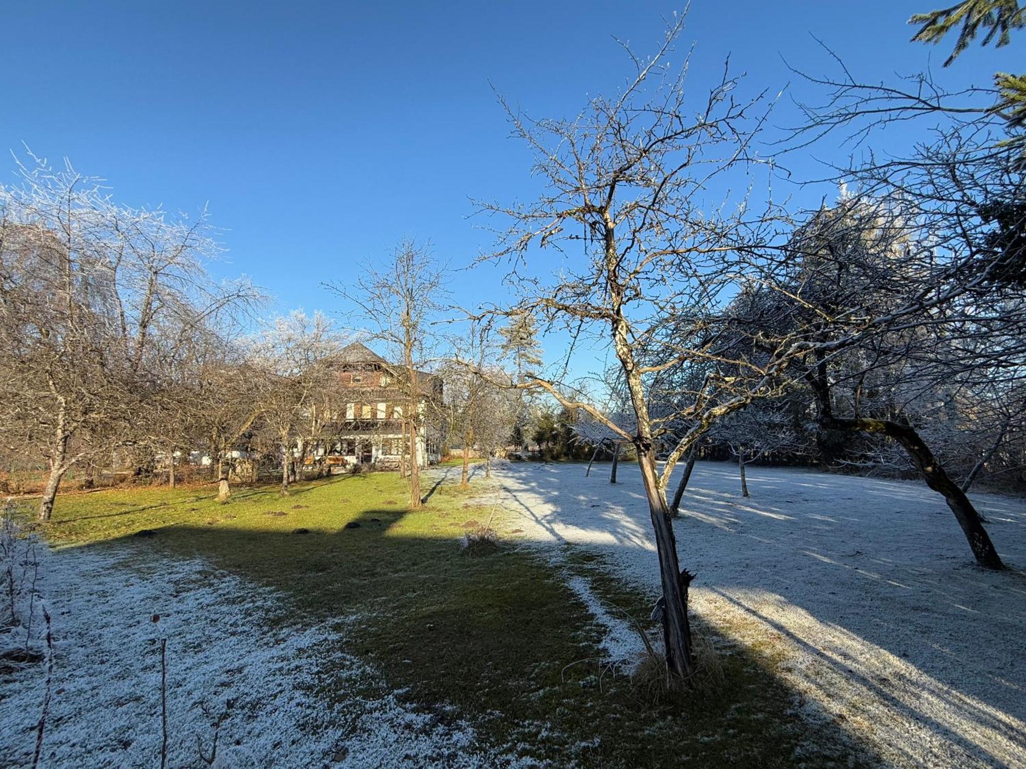 Esterer Grödig Esterno foto