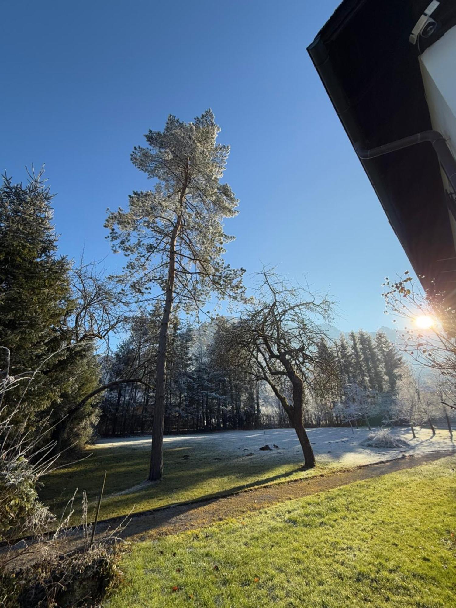 Esterer Grödig Esterno foto