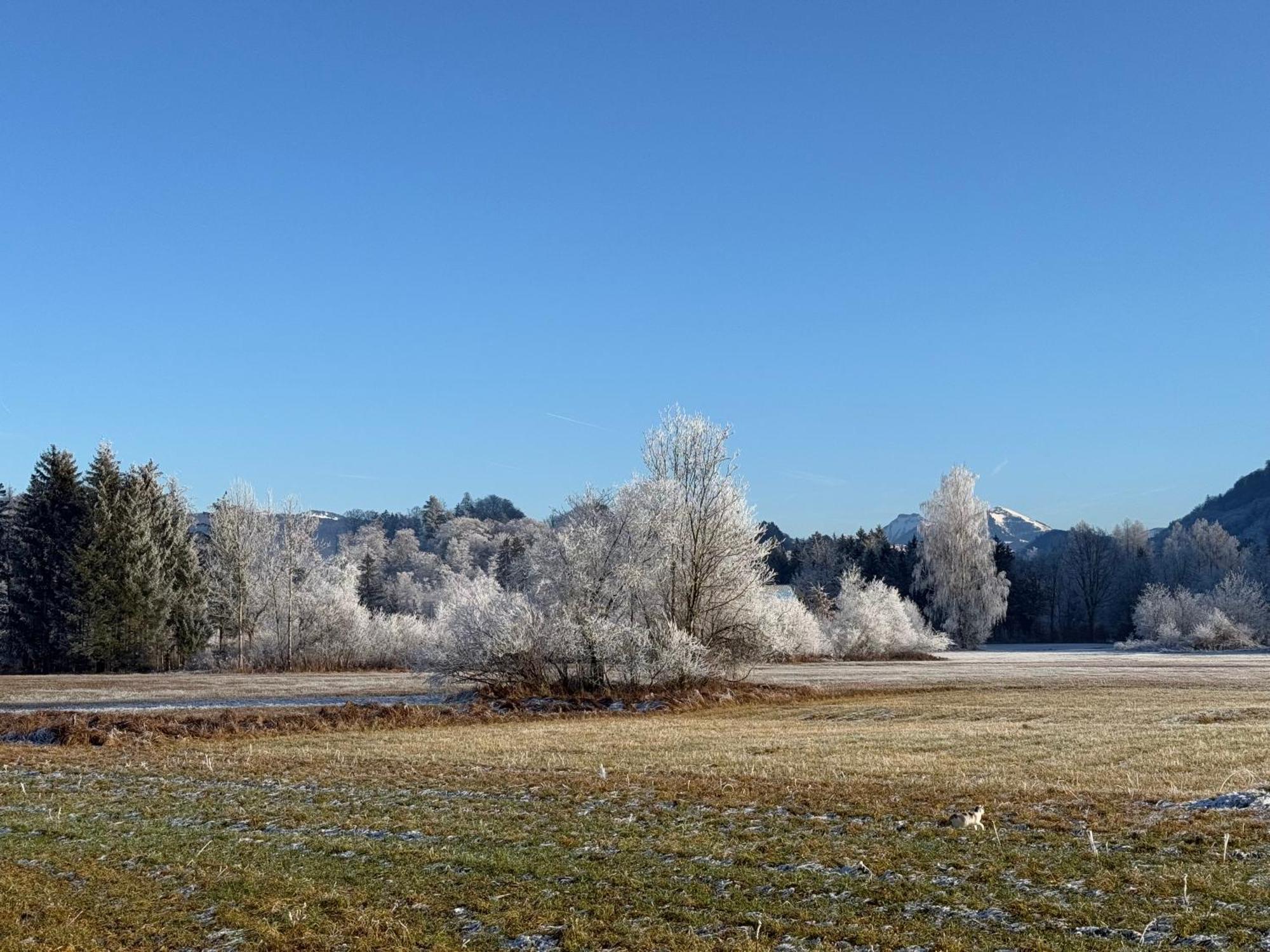 Esterer Grödig Esterno foto